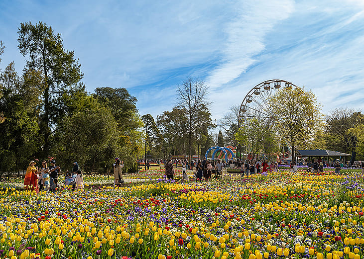 The Floriade flower festival, the biggest spring celebration taking place in Commonwealth Park, Canberra, Australia.