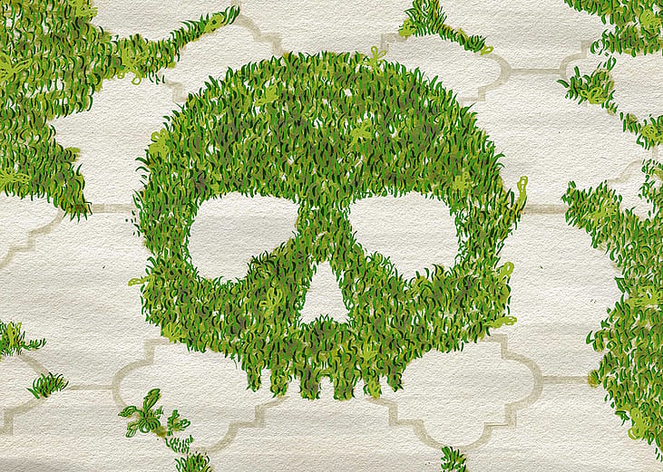 A custom illustration of a human skull formed out of green grass.