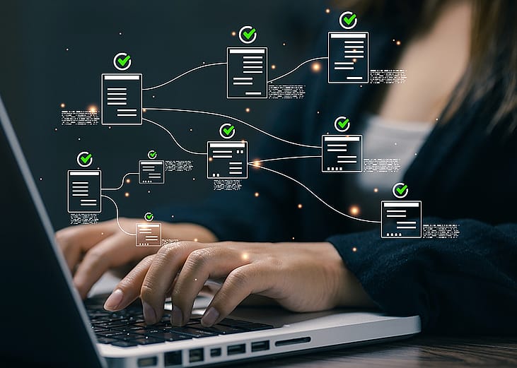 An IT specialist optimizing a company's business processes through automation systems and tools.