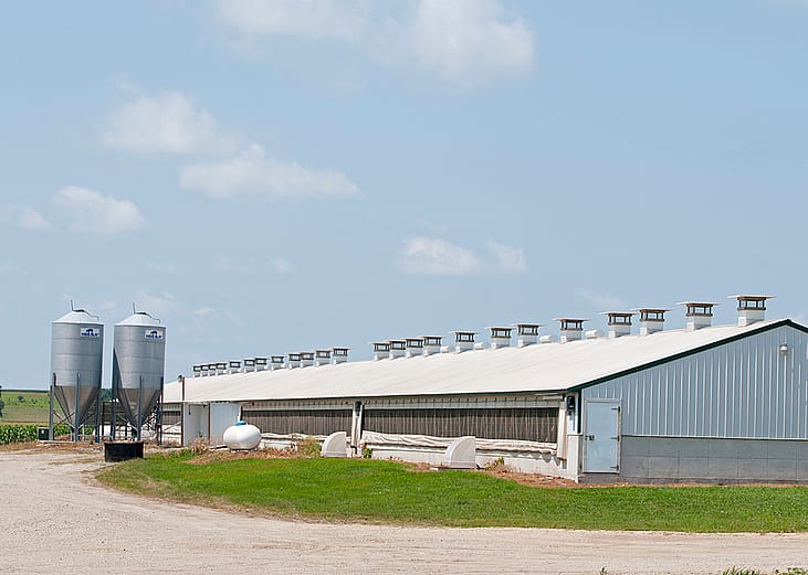 A view of a hog confinement building in rural Iowa.