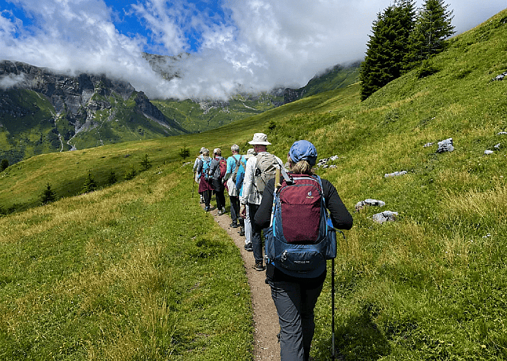 A group of hikers following a trail.