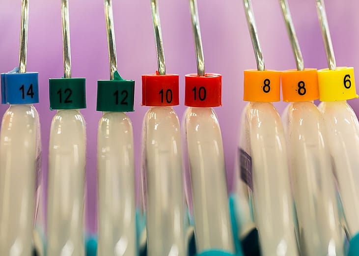 Clothes in hanger in different color labels of sizes.