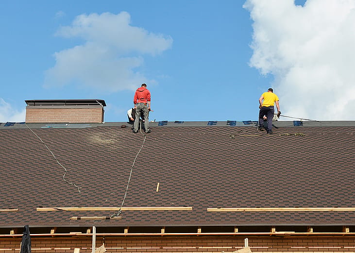 Roofing contractors wearing safety ropes while installing asphalt shingles on the house roof.