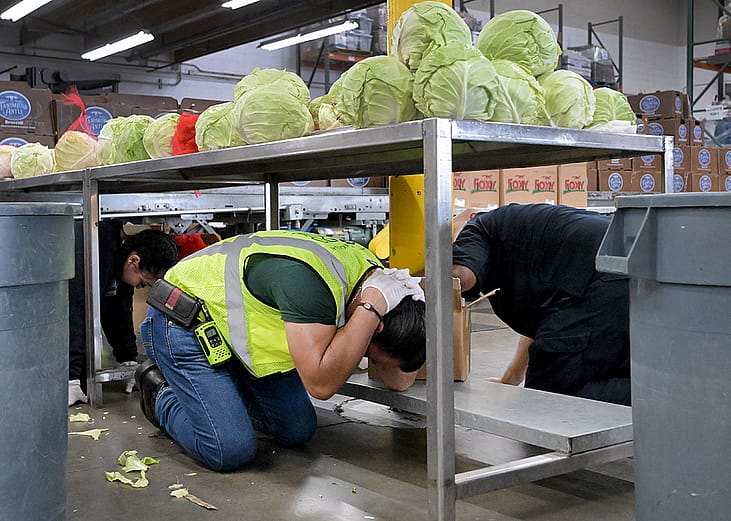 LA Regional Food Bank's employees participating in The Great California ShakeOut in Los Angeles, California, USA.