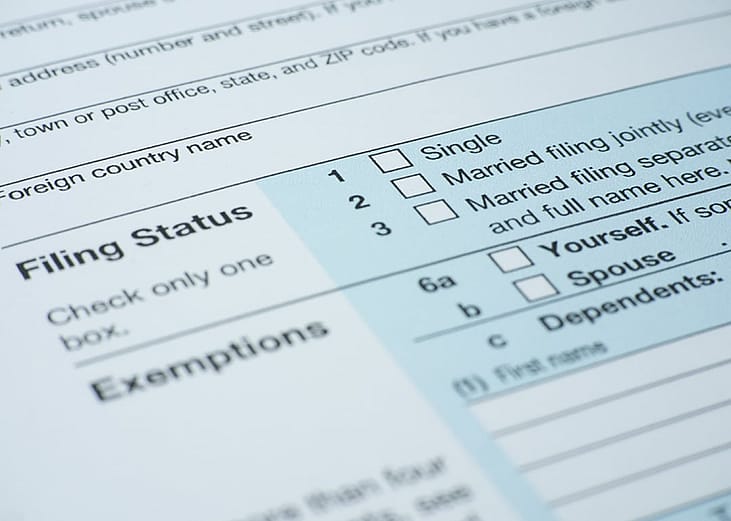 A close-up shot of a filing status category in a financial form.