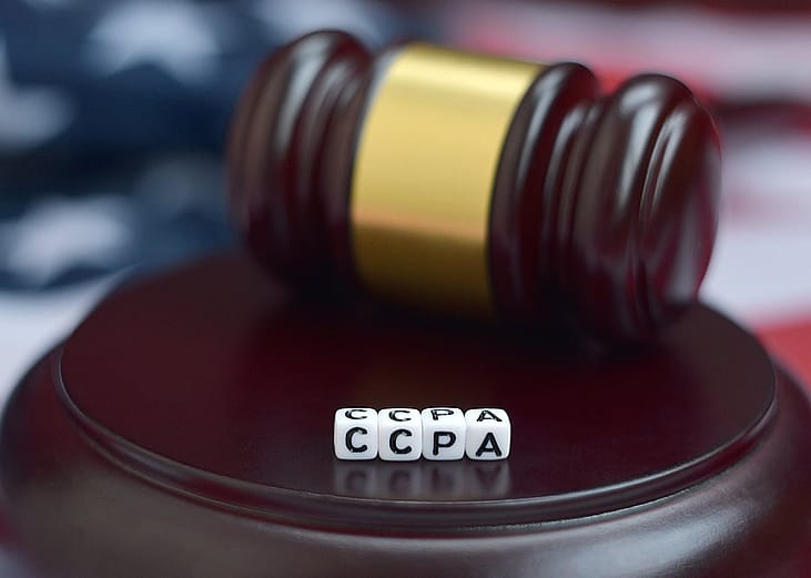 A judge's mallet and CCPA cubes placed above a U.S. flag in the background.