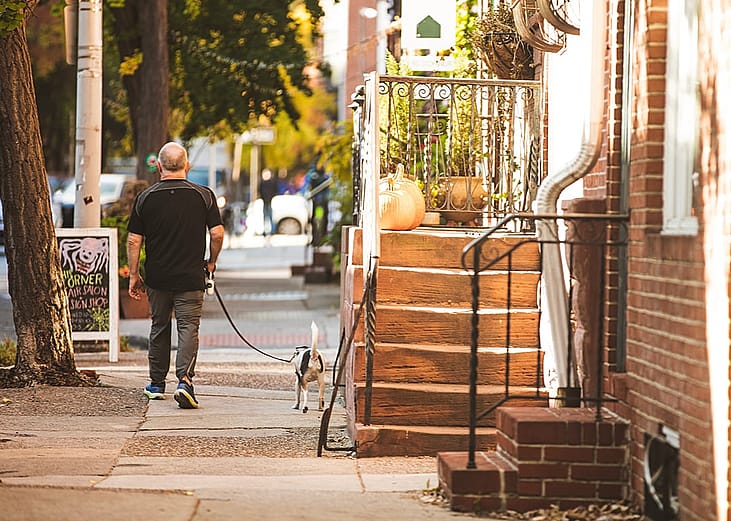 Man walks his dog along a neighborhood decorated with fall and Halloween pumpkins.