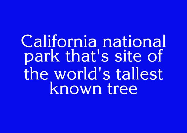 Clue #3