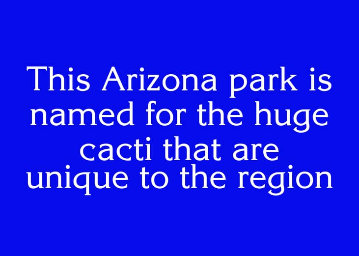 Clue #16