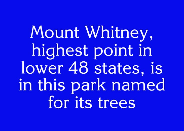 Clue #9