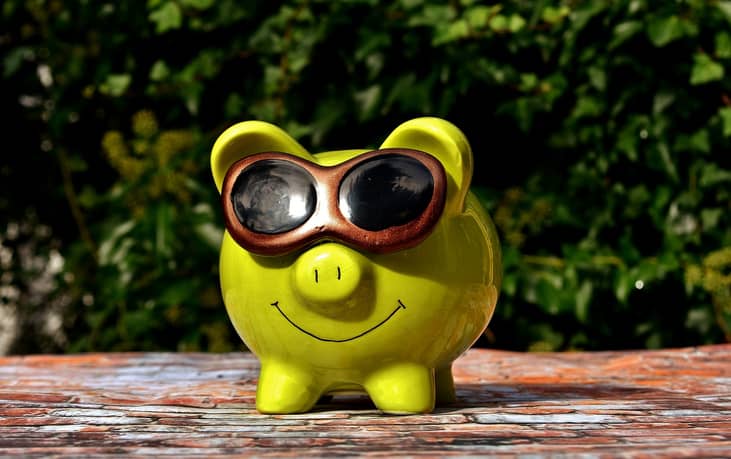 #29. July 17: Yellow Pig Day
