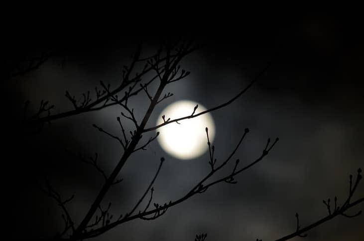 "Darkness cannot drive out..."