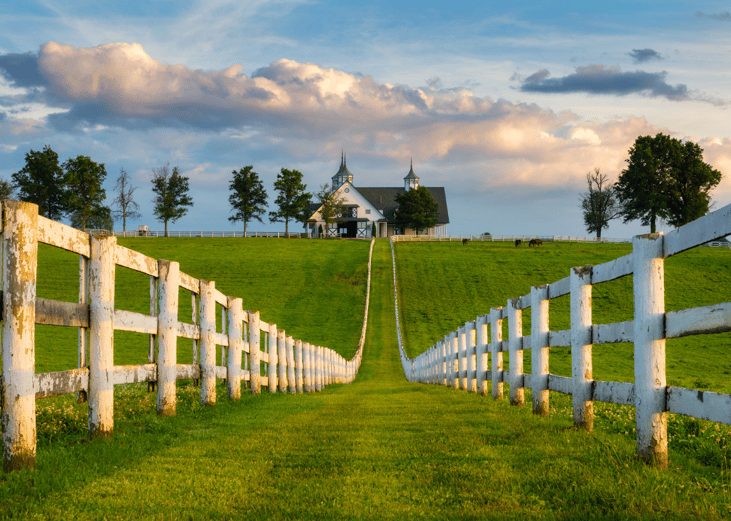 #3. Kentucky