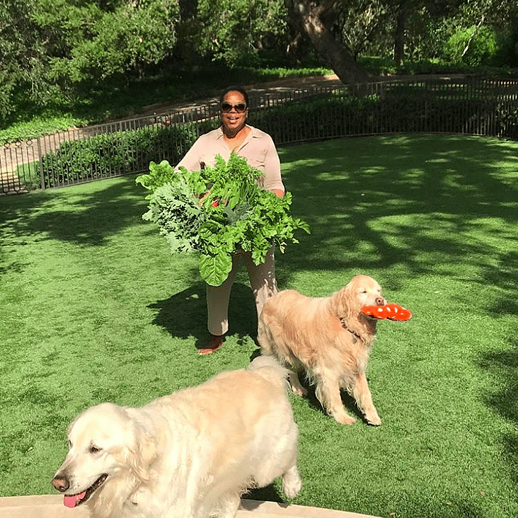 Oprah Winfrey: Sadie, Sunny, Layla, Luke, and Lauren