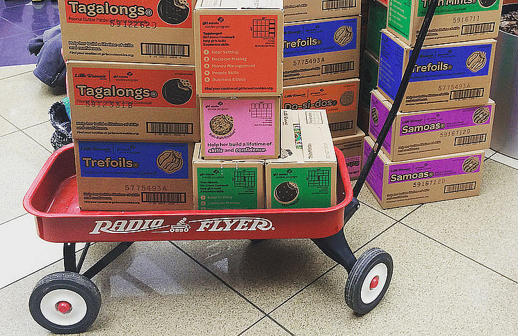 A single scout sold more than 100,000 boxes of cookies