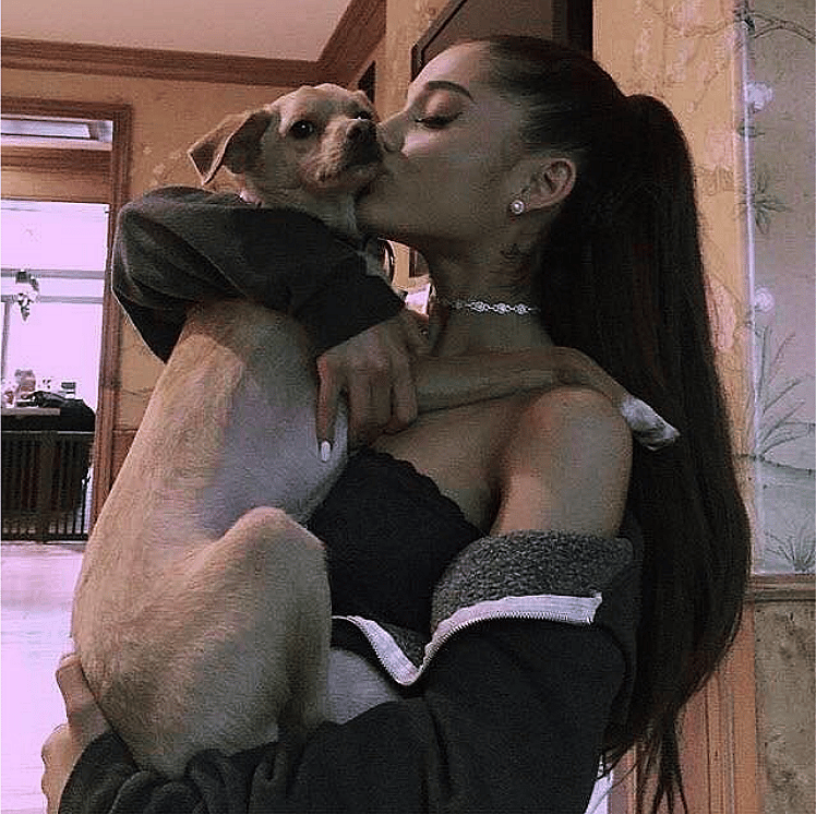 Ariana Grande: Toulouse, Ophelia, Fawkes, Cinnamon, Coco, Lafayette, Sirius, Strauss, and Pignoli