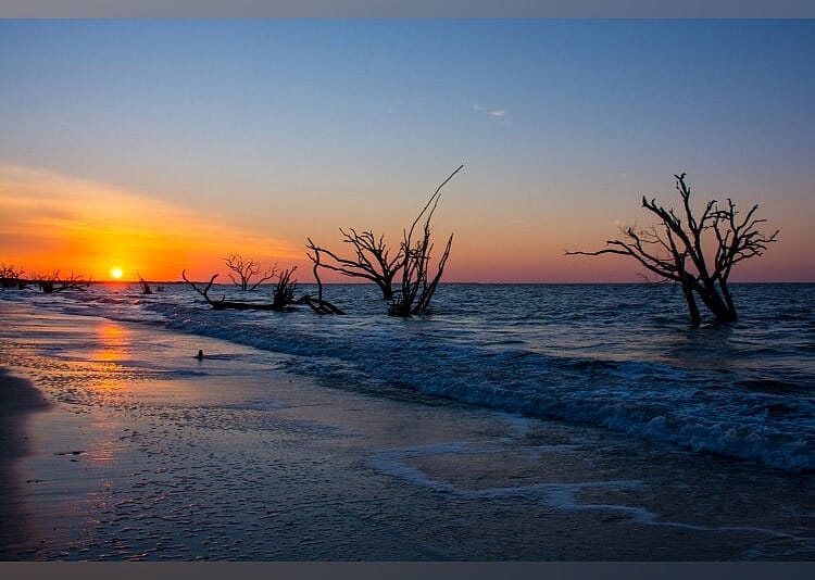 #23. Botany Bay Plantation Heritage Preserve/ Wildlife Management Area