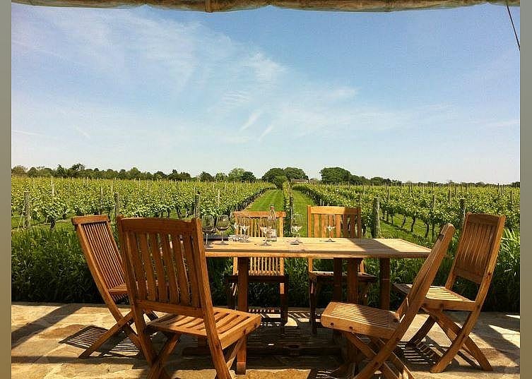 #5. Wölffer Estate Vineyard