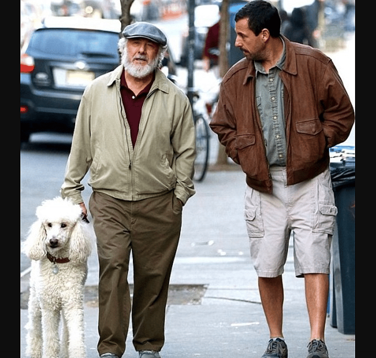 #6: The Meyerowitz Stories (New and Selected)