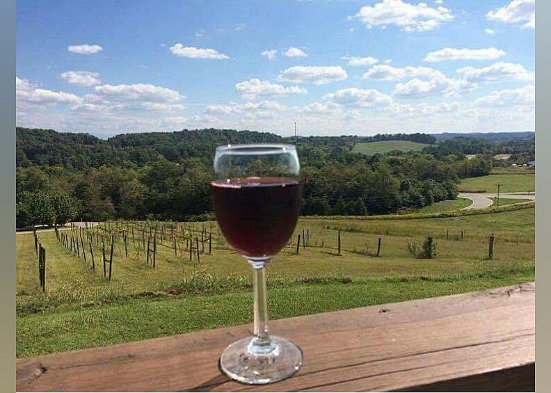 #20. Tennessee Valley Winery