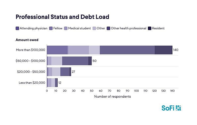 A data bar chart revealing professional statuses and their debt load.