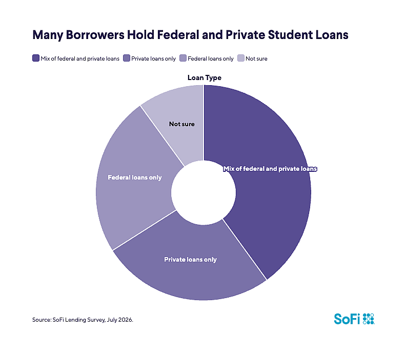 A donut chart showing how many borrowers manage federal and private student loans.