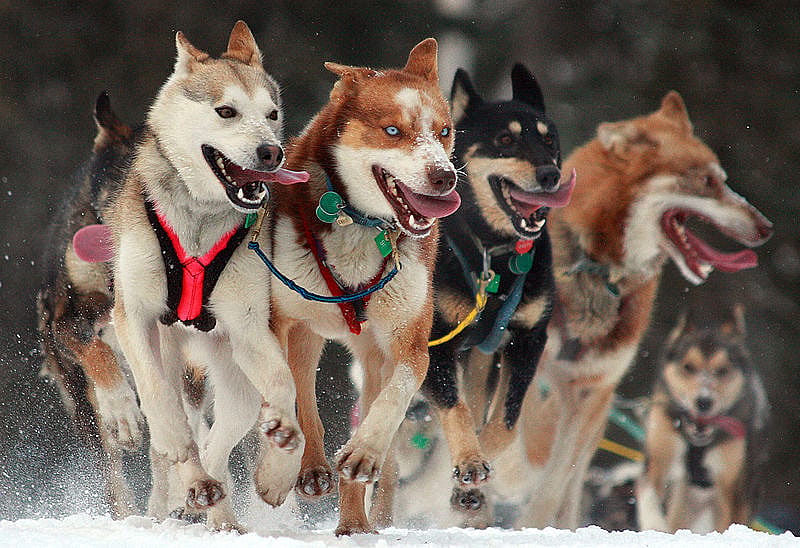 #22.  Anchorage, Alaska