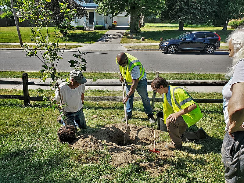 Photo showing people planting trees to improve tree canopy in Ohio.