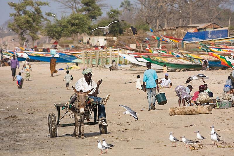 #25. Gambia