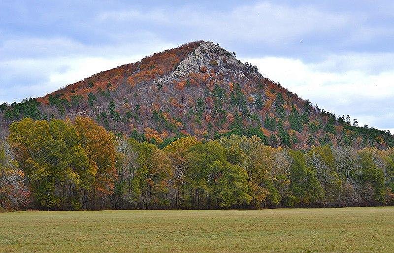 Arkansas: Pinnacle Mountain State Park