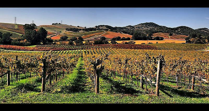 #14. Napa, CA