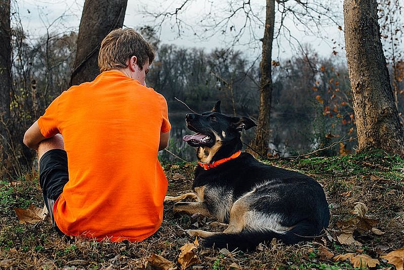 #13. Animal Lovers