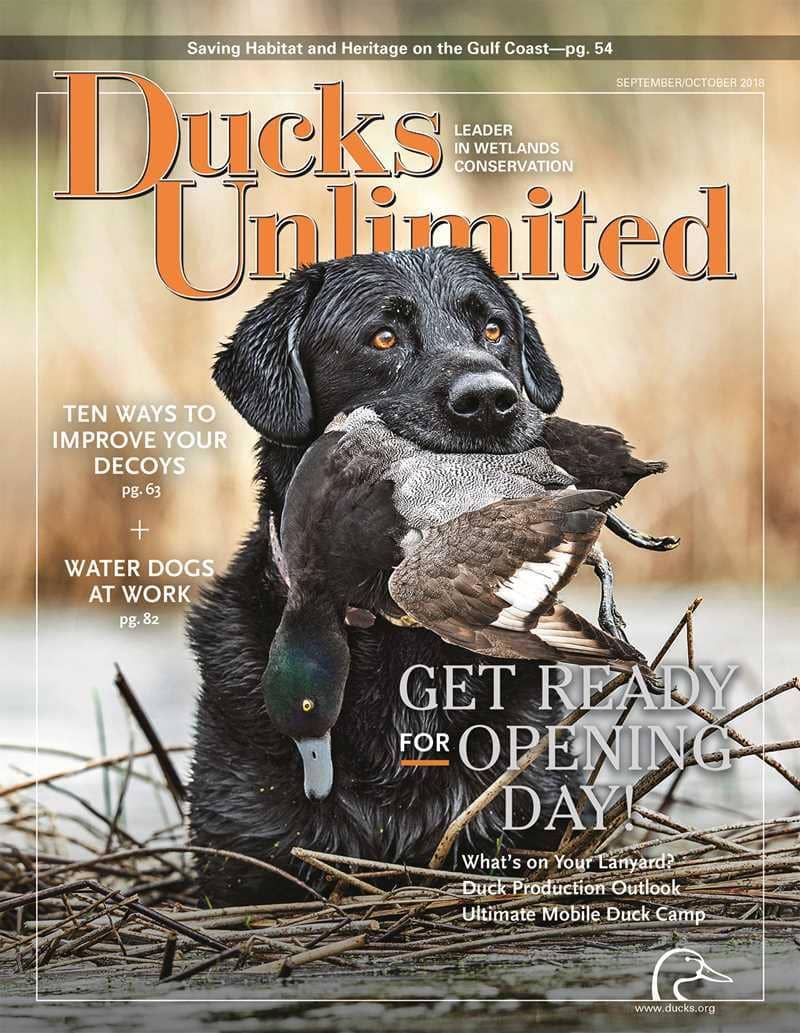 #97. Ducks Unlimited