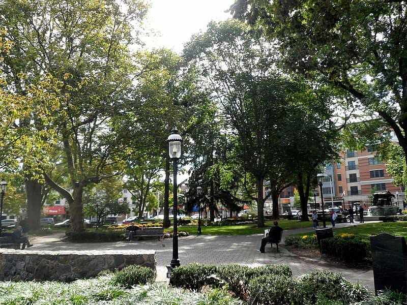 #54. College of Saint Elizabeth