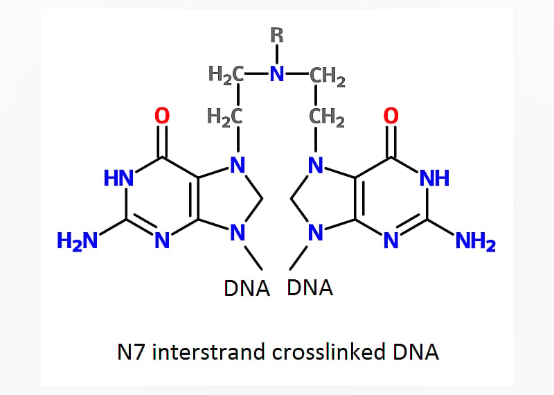 1946: First effective chemotherapy drug