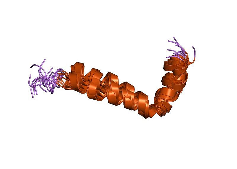 1992: Association between excess amyloid beta and Alzheimer’s