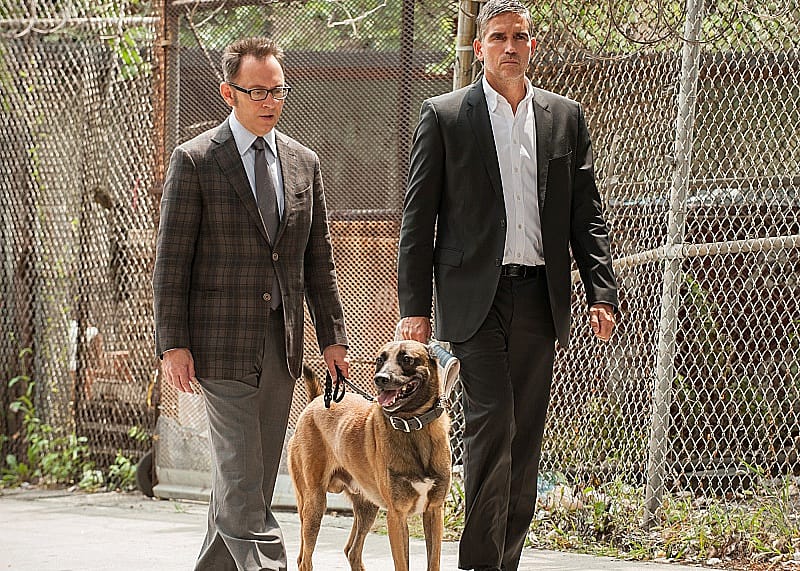 #11. Person of Interest
