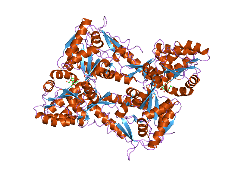 1925: Discovery of parathyroid hormone