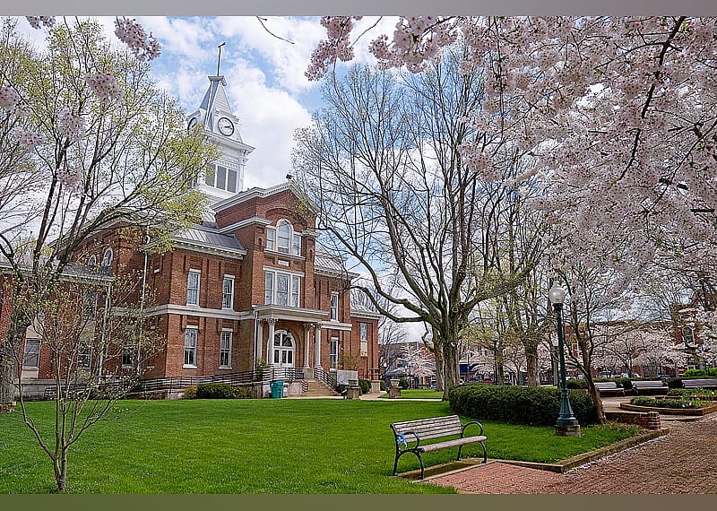 #17. Simpson County
