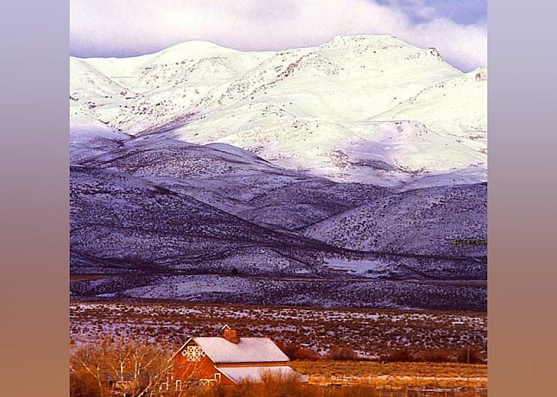 #40. Owyhee County