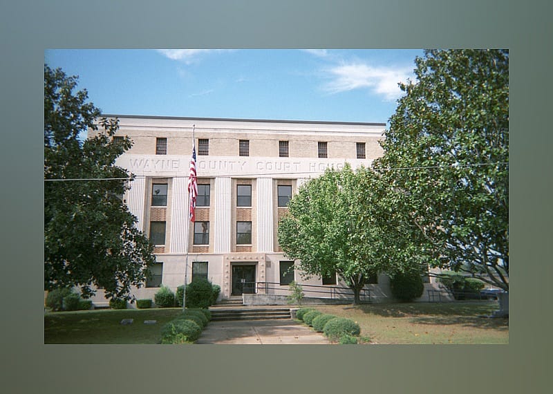 #39. Wayne County, Mississippi