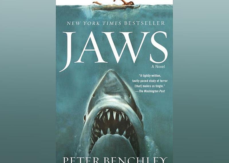 The illustrated cover shows a woman swimming with a massive and terrifying great white shark emerging from the depths beneath her.