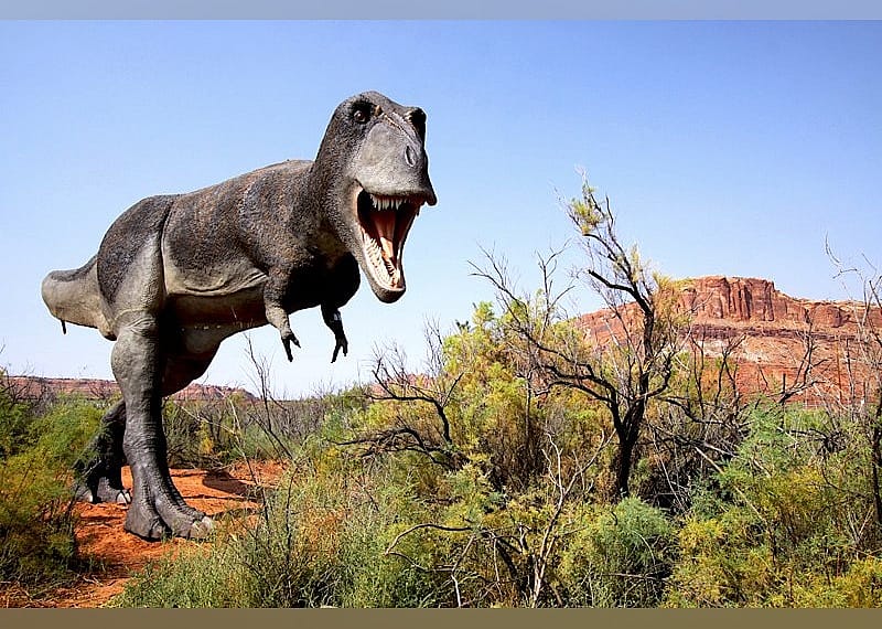 #22. Moab Giants