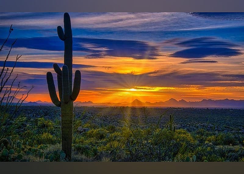 #29. Saguaro National Park