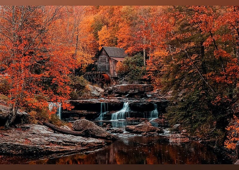 #8. Babcock State Park
