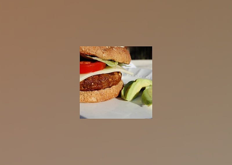Seasoned Turkey Burgers