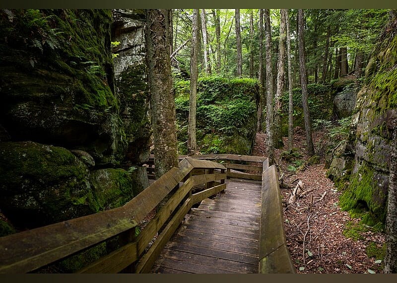 #11. Beartown State Park
