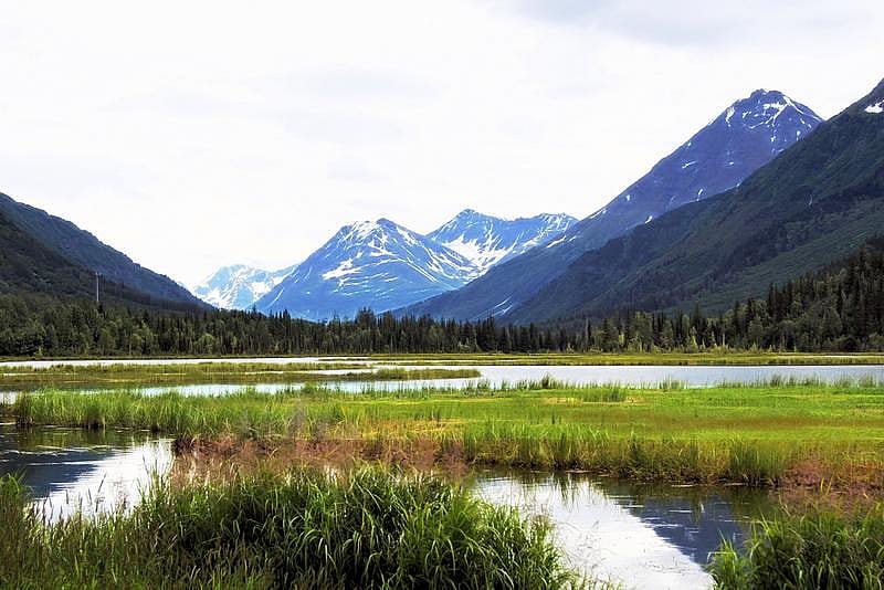 #29. Alaska