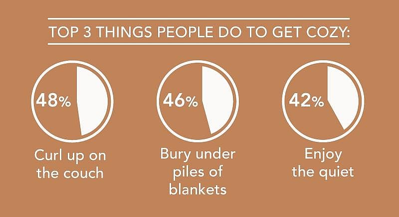 A data pie chart graphic showing the top three things people do to get cozy.