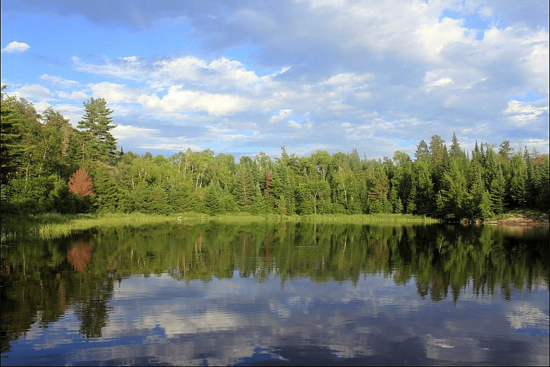 Minnesota: Harriet Alexander Nature Center, Roseville
